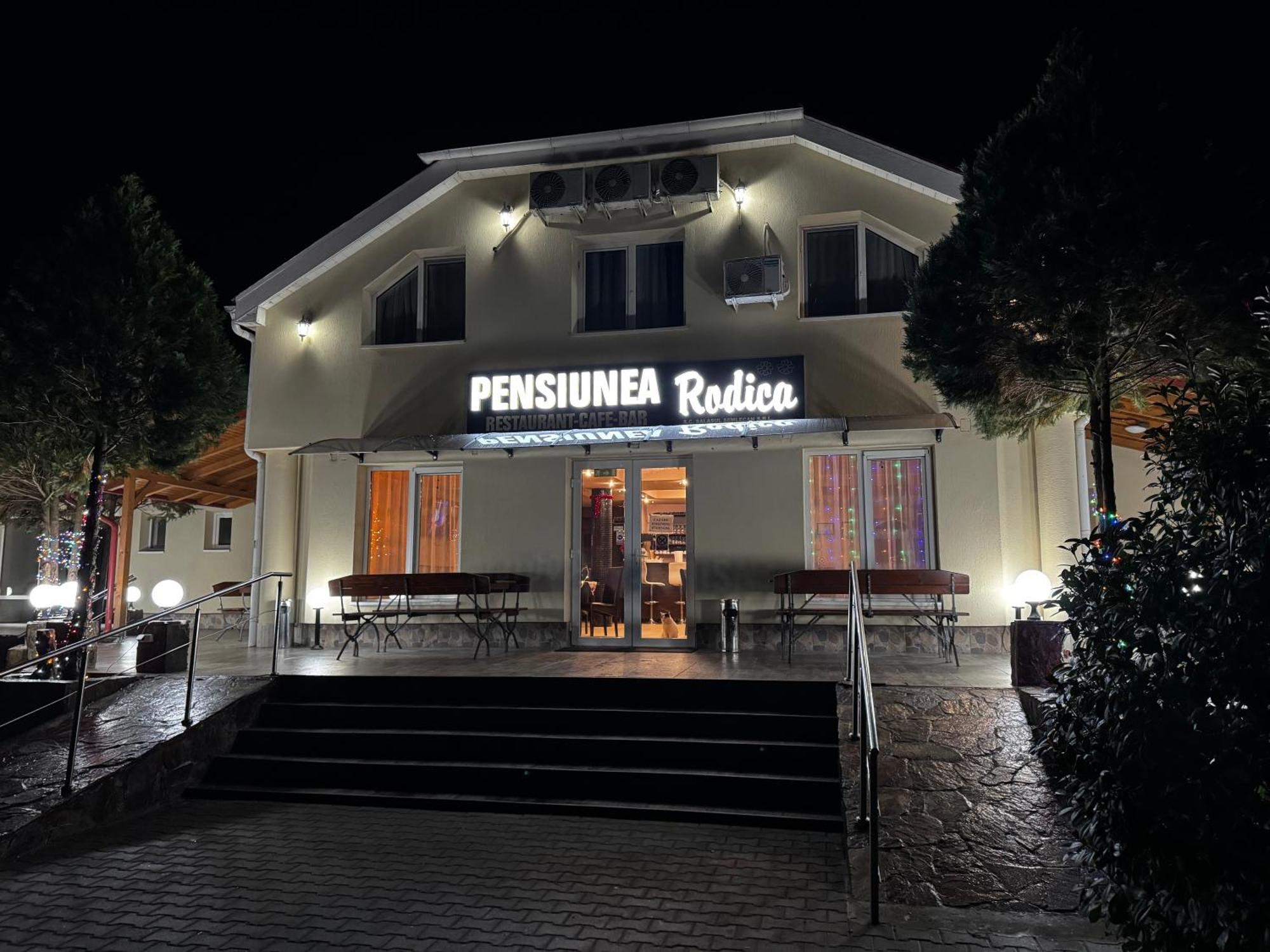 Pensiunea Rodica Надлак Екстериор снимка